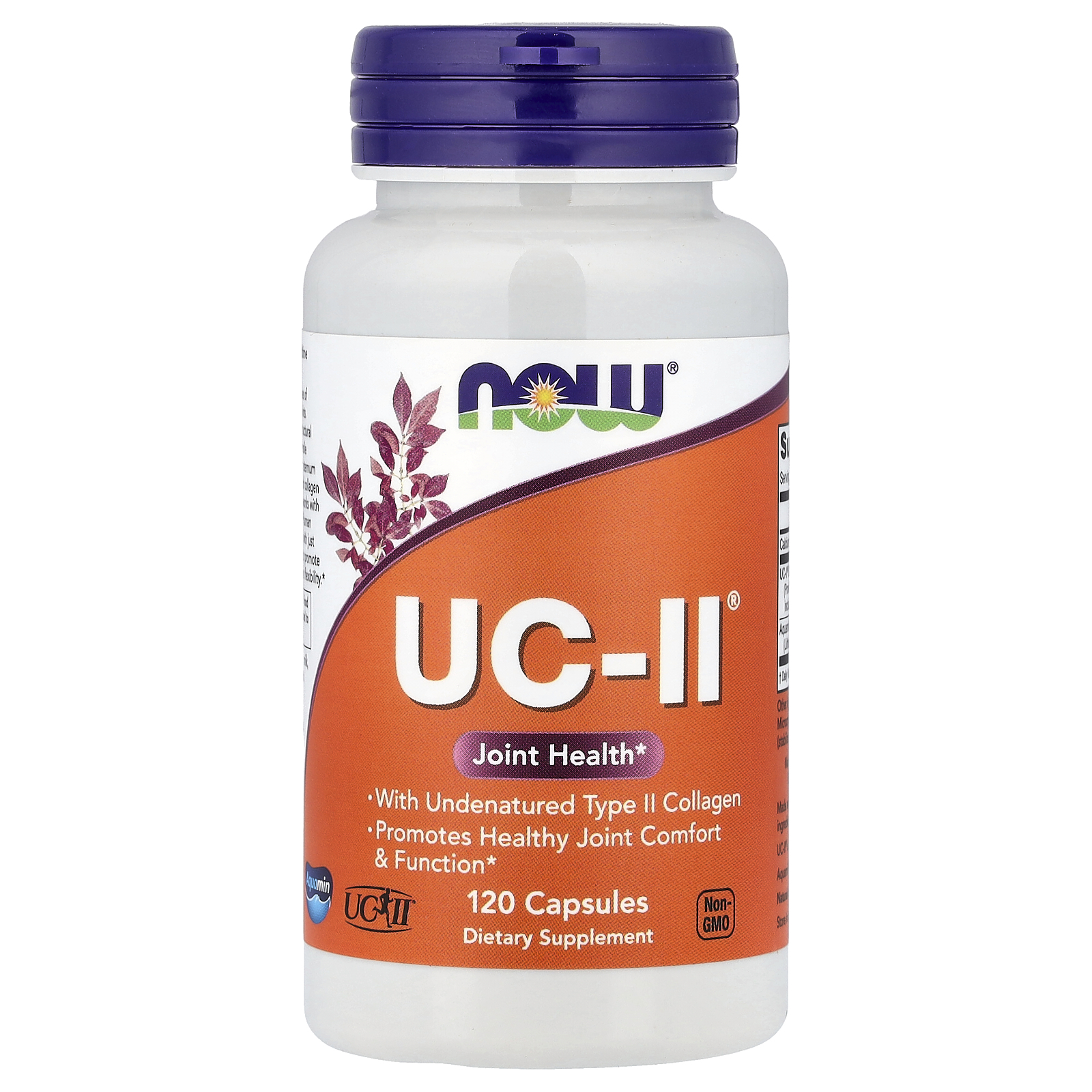 NOW Foods UC-II nedenaturisani kolagen tip II, 120 kapsula